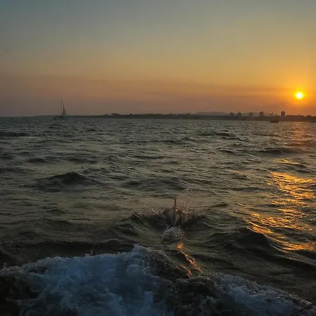 Paradiso 'в' 402 Private * Nesebar